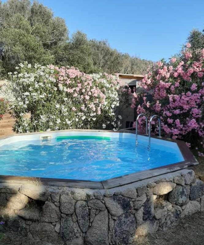 Mini Villa Giuseppina Bonifacio  Eksteriør bilde